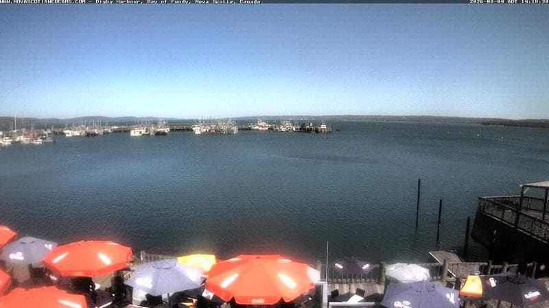 Digby Harbour