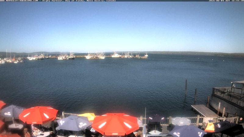 Digby Harbour