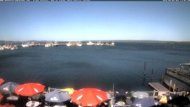Digby Harbour