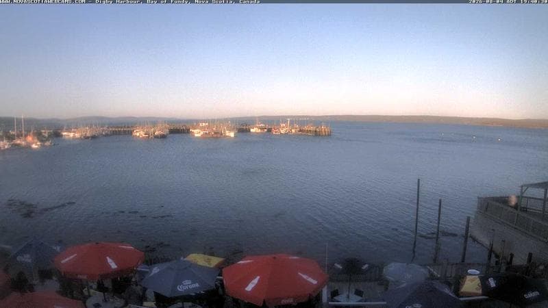 Digby Harbour