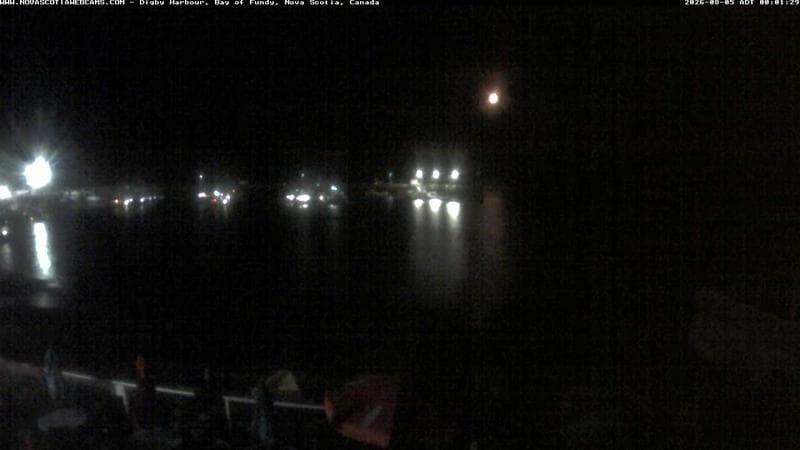 Digby Harbour