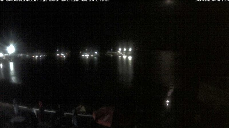 Digby Harbour