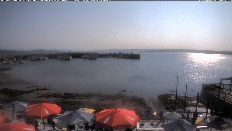 Digby Harbour