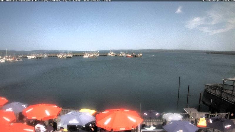 Digby Harbour