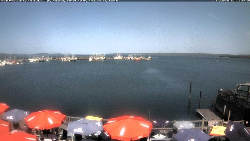 Digby Harbour