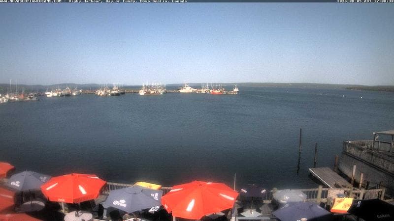 Digby Harbour