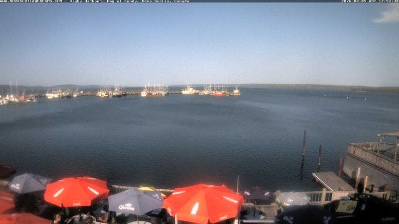 Digby Harbour