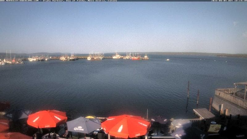 Digby Harbour