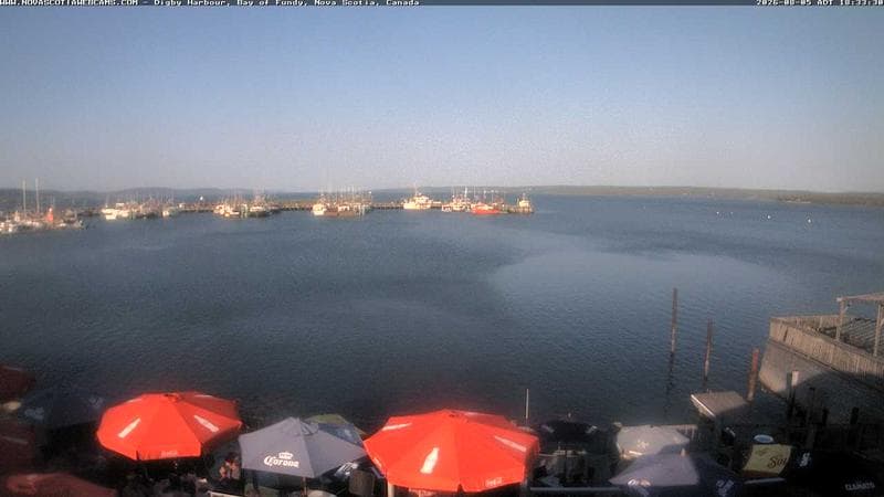 Digby Harbour