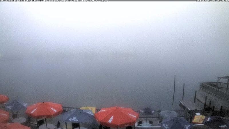 Digby Harbour