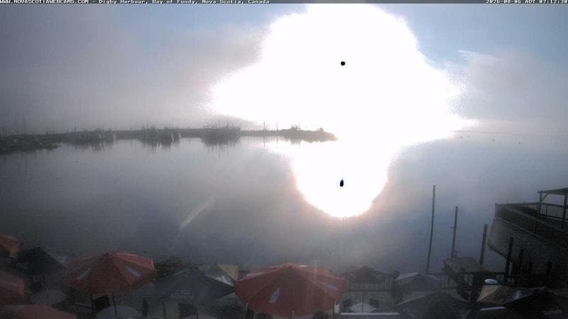Digby Harbour