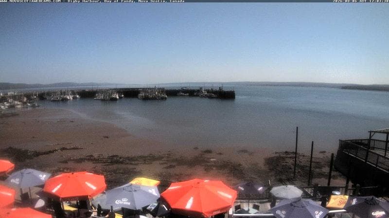 Digby Harbour