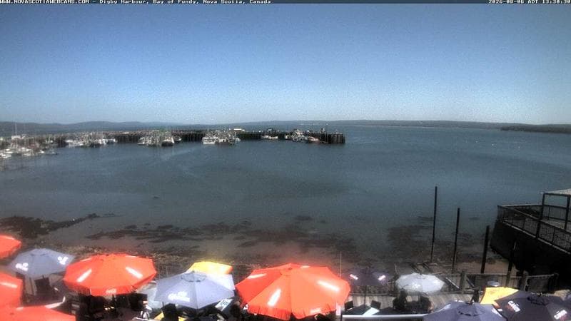 Digby Harbour