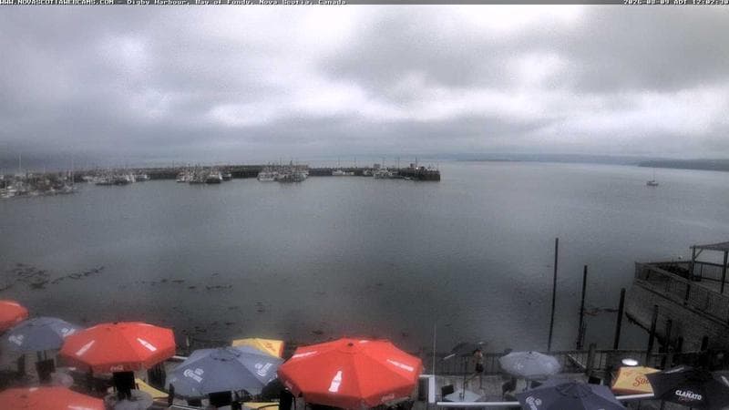 Digby Harbour