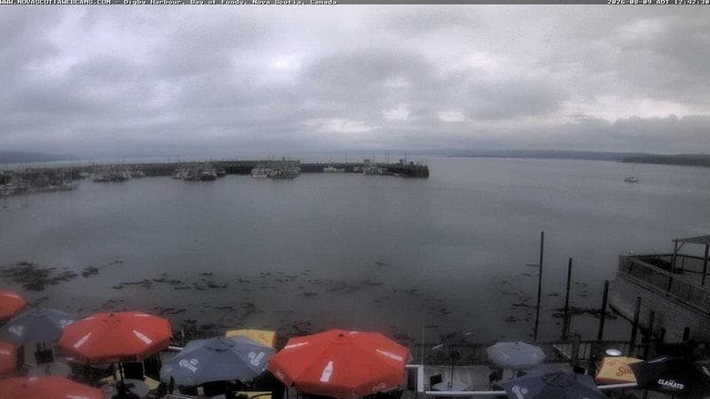 Digby Harbour