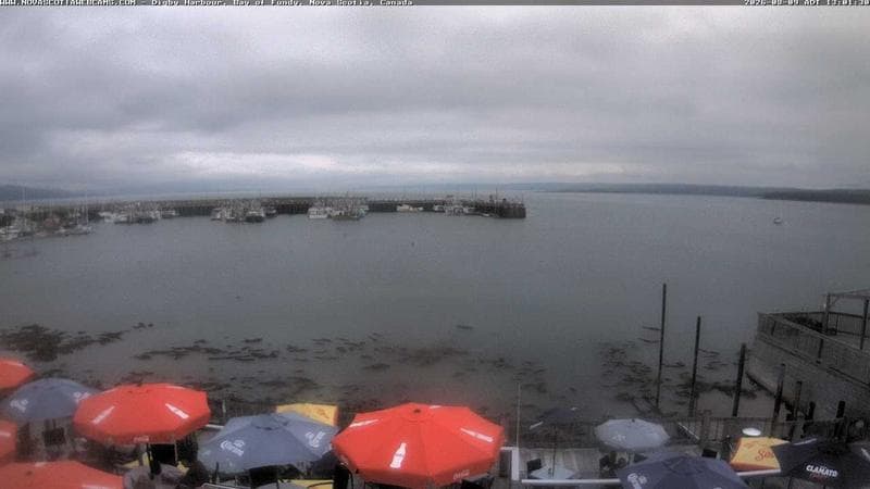 Digby Harbour