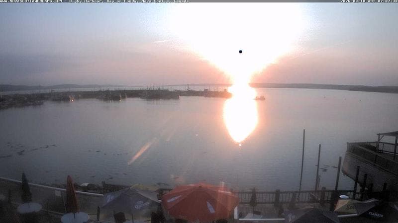 Digby Harbour