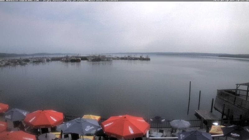 Digby Harbour