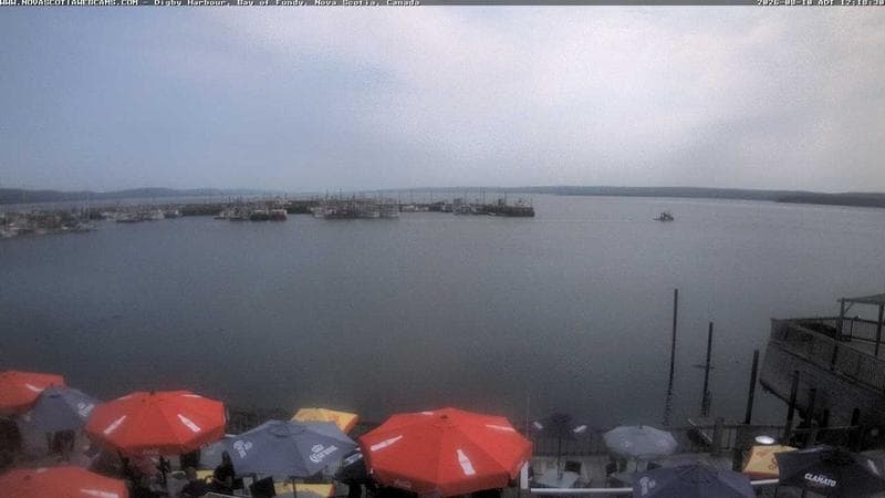 Digby Harbour
