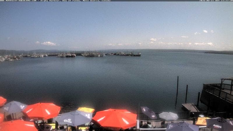 Digby Harbour