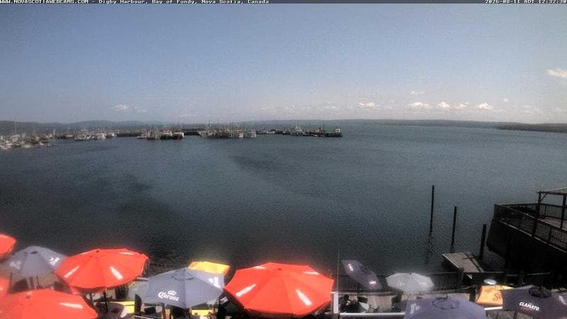Digby Harbour