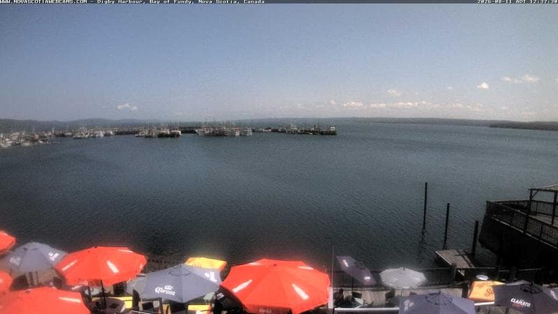 Digby Harbour