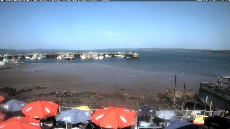 Digby Harbour
