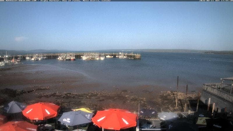Digby Harbour