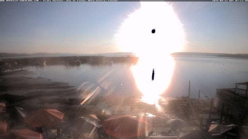 Digby Harbour