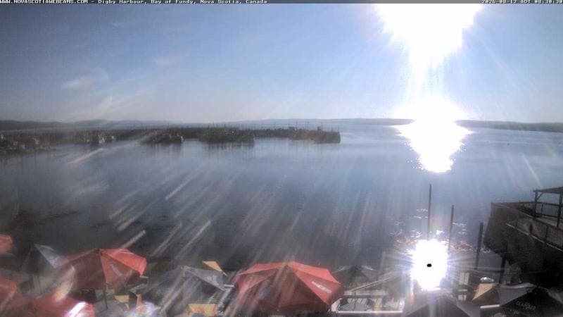 Digby Harbour