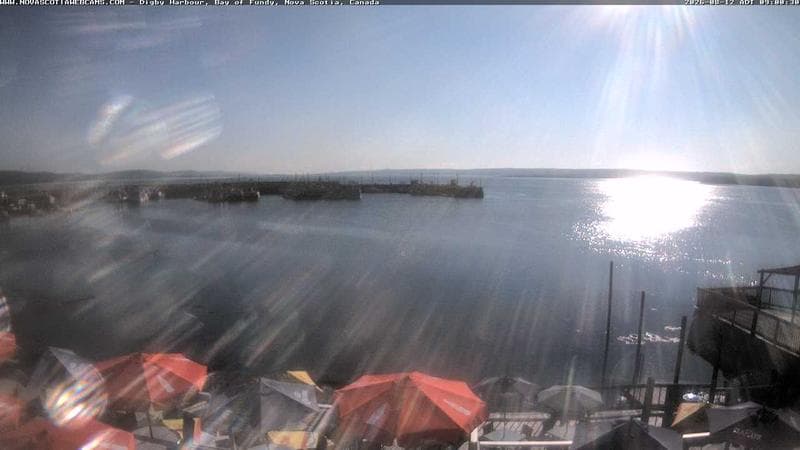 Digby Harbour