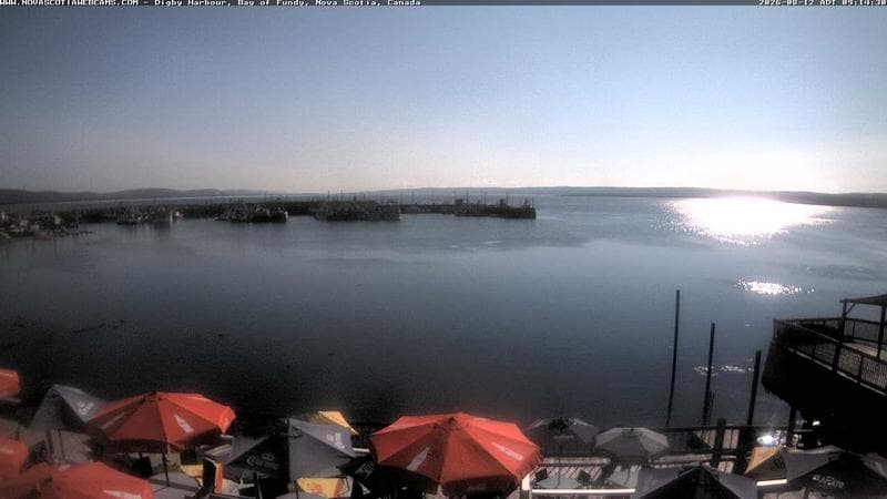Digby Harbour