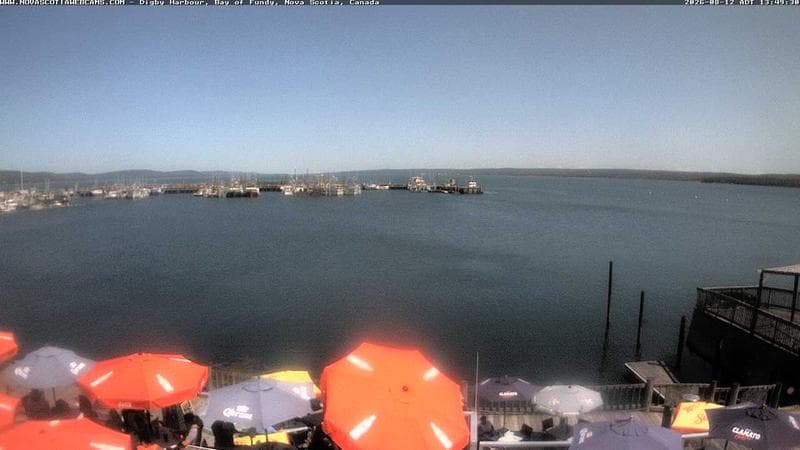 Digby Harbour