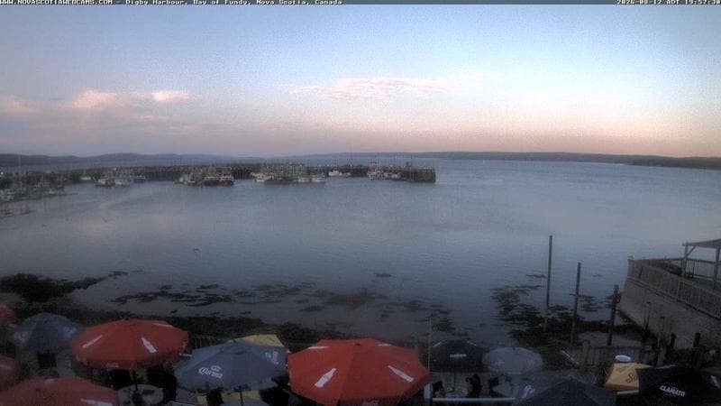 Digby Harbour