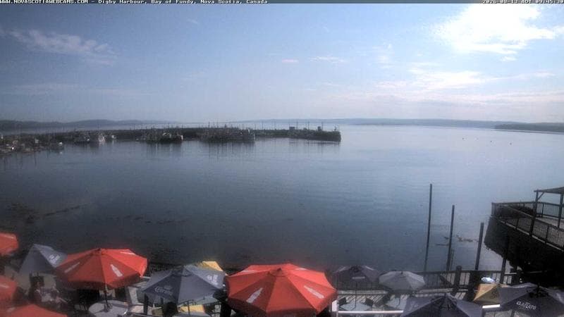 Digby Harbour