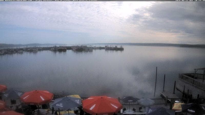 Digby Harbour