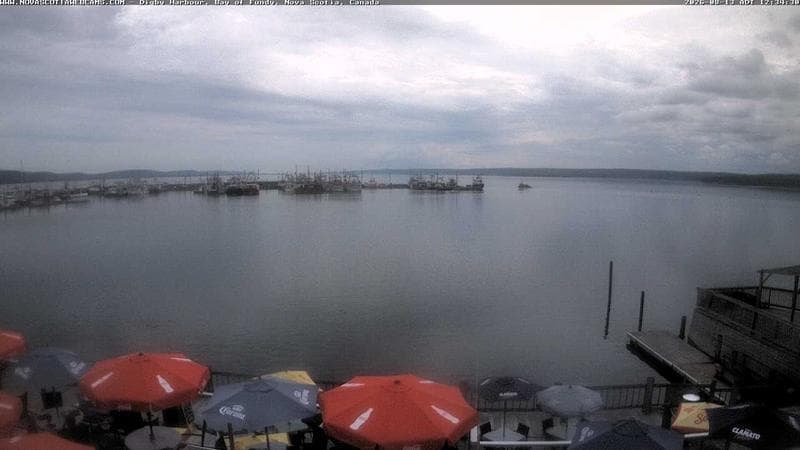 Digby Harbour
