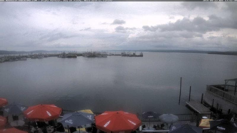 Digby Harbour