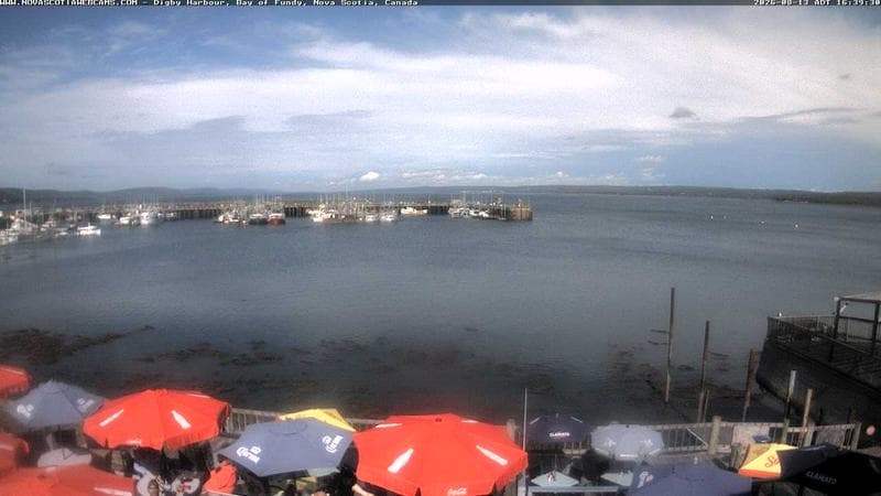 Digby Harbour