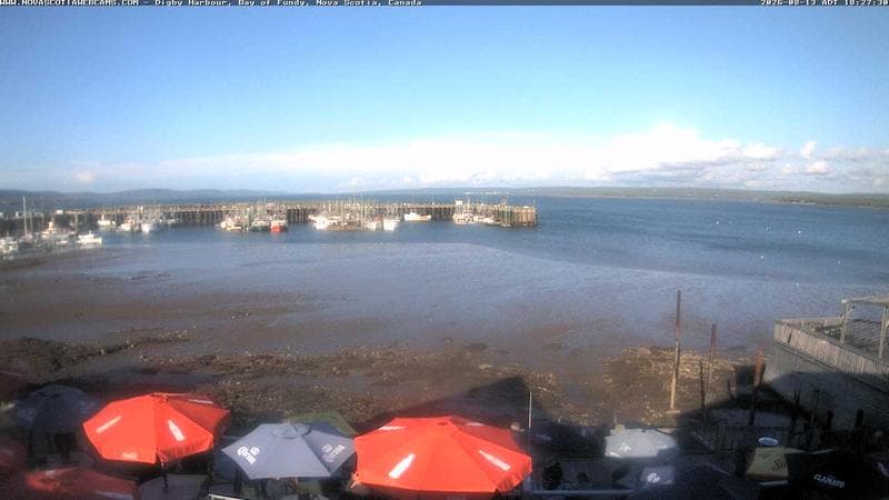 Digby Harbour