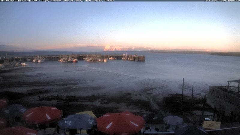 Digby Harbour