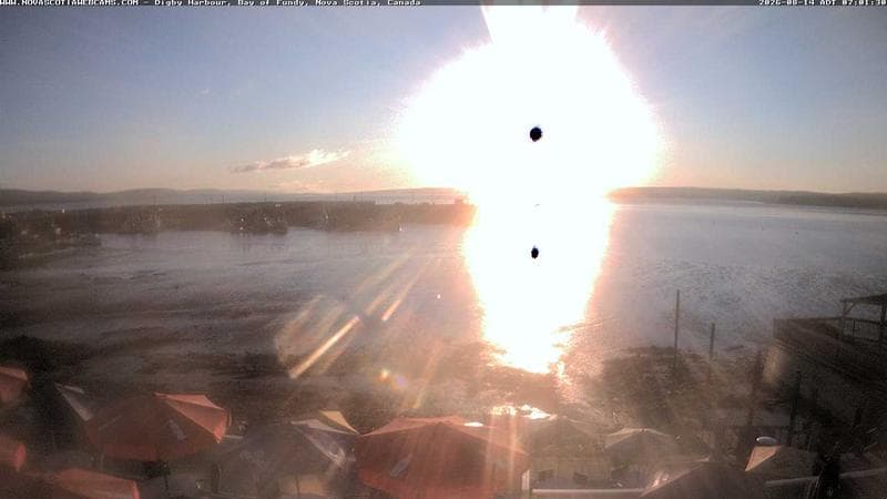 Digby Harbour