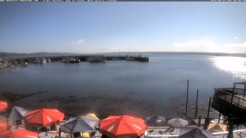 Digby Harbour