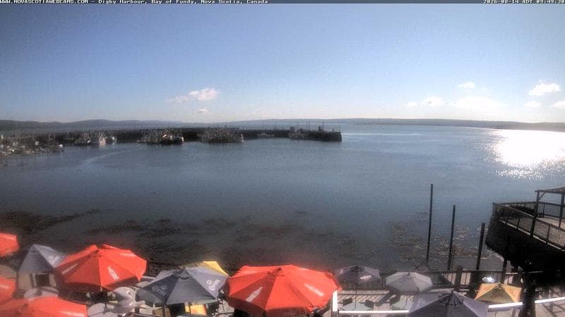 Digby Harbour