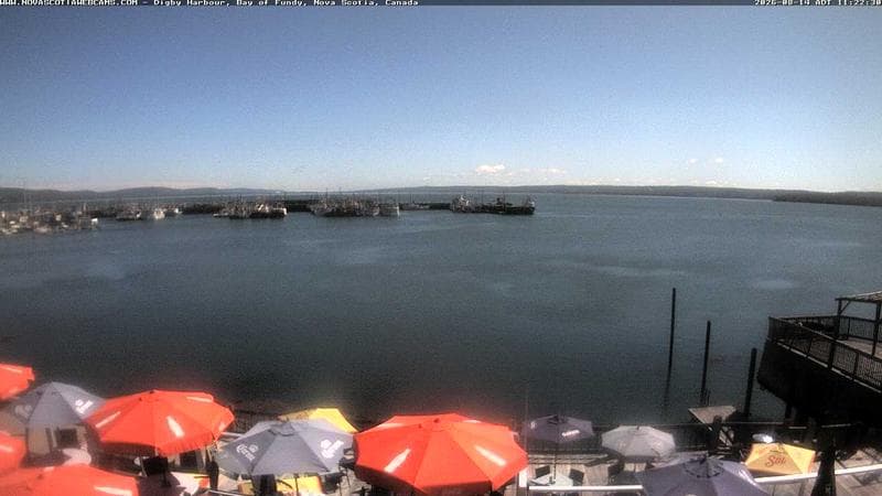 Digby Harbour