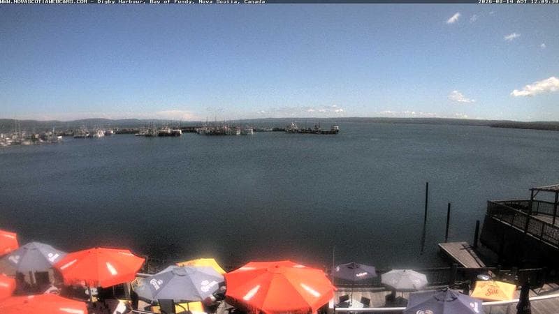 Digby Harbour