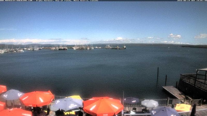 Digby Harbour