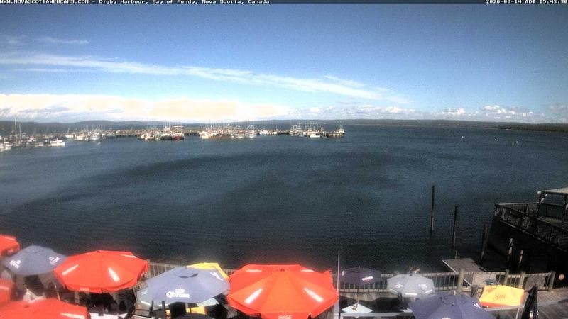 Digby Harbour