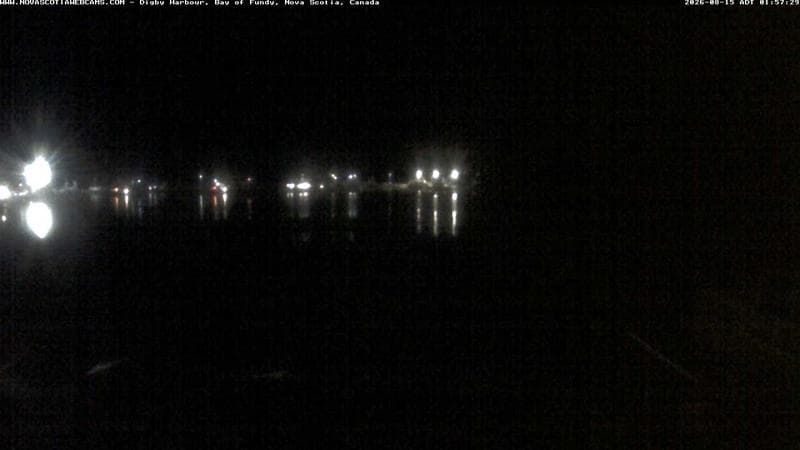 Digby Harbour
