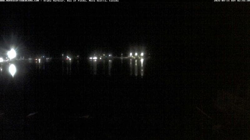 Digby Harbour